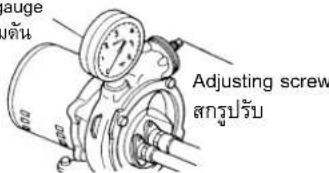 Auge Budin Adjusting screw สารูปรับ