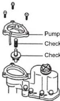 Pump Check Check