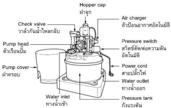 Hopper cap ### Check valve วะล์วกันน้ําไหลกลับ Pump head ตัวเรือนปิ่ม Pump cover ผ่าครอบ Water inlet ทางน้ําเช้า Water outlet ทางน้ําออก Pressure switch สวัตซ์ตัด/ต่อความต้น อัดในมัติ Power cord สายปลักไฟ Pressure tank ถังแรงดัน