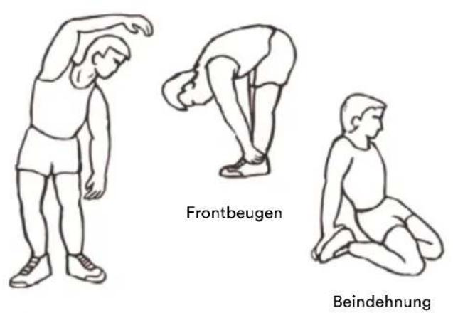 Skandika Venn - DIE TRAININGSPHASE - 1