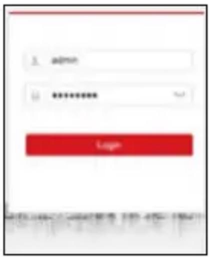MEGASAT HSP 10 - Zugang zur Kamera über einen Web-Browser - 1