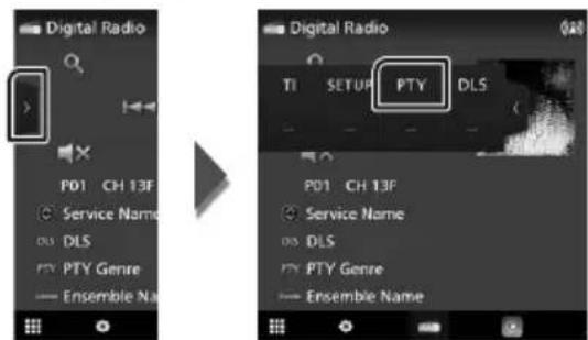 Digital Radio P01 CH 13F Service Name DLS PTY PTY Genre Ensemble Name Digital Radio TI SETUP PTY DLS P01 CH 13F Service Name DLS DLS PTY PTY Genre Ensemble Name