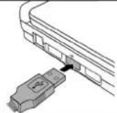 MEDION LIFE S82005 (MD 85903) - Data transfer - 2