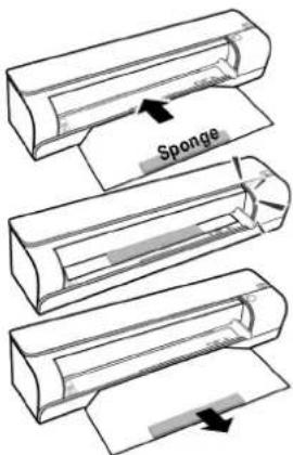 Sponge