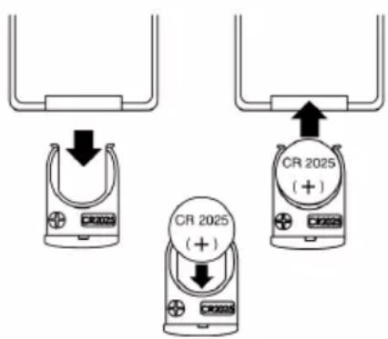CR 2025 CR 2025 (+) CR 2025 (+)