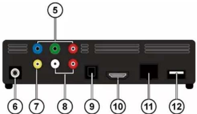 5 6 7 8 9 10 11 12