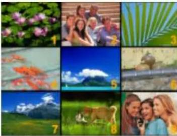 MEDION LIFE E46001 (MD 85544) - ◆ Thumbnail Function - 3