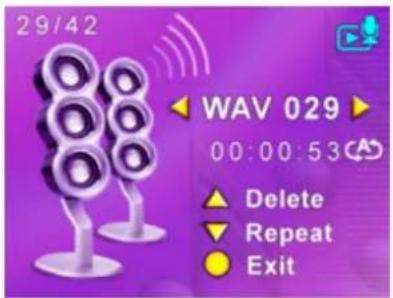 29/42 WAV 029 00:00:53 ▲ Delete ▼ Repeat ● Exit