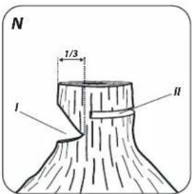 N 1/3 I II