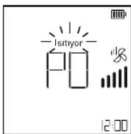 -Isitryor 12:00