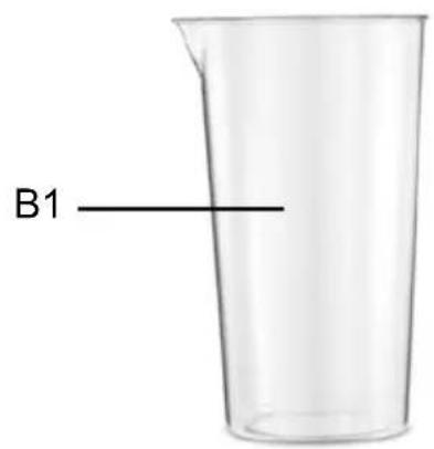 B1