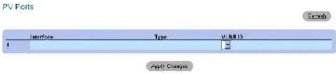 PV Ports Interface Type VAND ID 1 Apple Changes