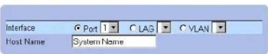 Interface Port 1 C LAG C VLAN Host Name System Name