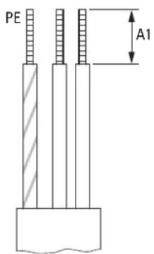 PE A1