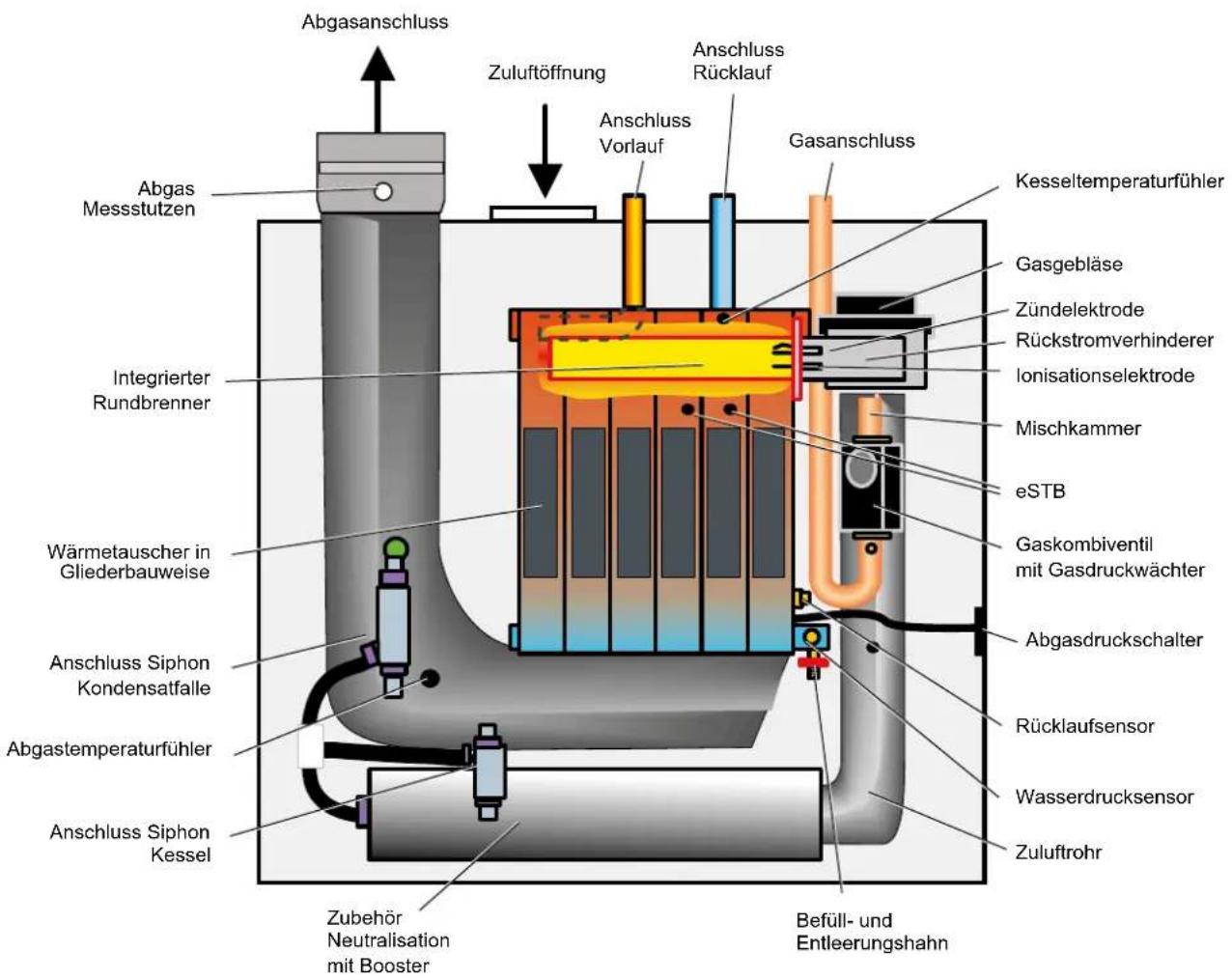 Abgasanschluss Zuluftöffnung Anschluss Rücklauf Gasanschluss Kesseltemperaturfühler Gasgebläse Zündelektrode Rückstromverhinderer Ionisationselektrode Mischkammer eSTB Gaskombiventil mit Gasdruckwächter Abgasdruckschalter Rücklaufsensor Wasserdrucksensor Zuluftrohr Zubehör Neutralisation mit Booster Befüll- und Entleerungshahn Abgas Messstutzen Integrierter Rundbrenner Wärmetauscher in Gliederbauweise Anschluss Siphon Kondensatfalle Abgastemperaturfühler Anschluss Siphon Kessel