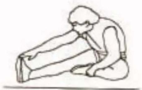 York Fitness T700 - EXERCISES FOR THE KNEES - 1