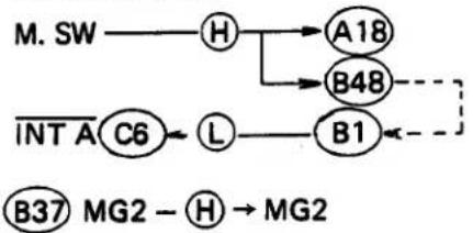 OLYMPUS OM-PC - Manual Time Circuit - 2