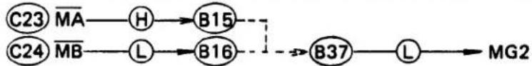 OLYMPUS OM-PC - Manual Time Circuit - 12