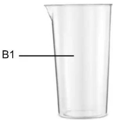 B1
