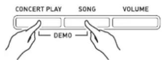 CONCERT PLAY SONG VOLUME DEMO