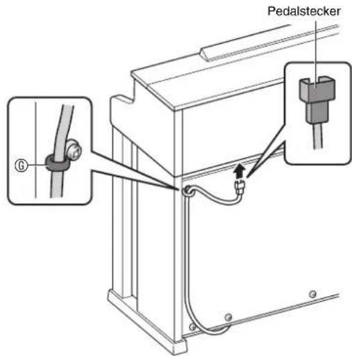 Pedalstecker ⑥