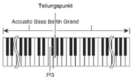 Teilungspunkt Acoustic Bass Berlin Grand F*3