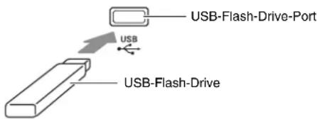 USB-Flash-Drive-Port USB USB-Flash-Drive