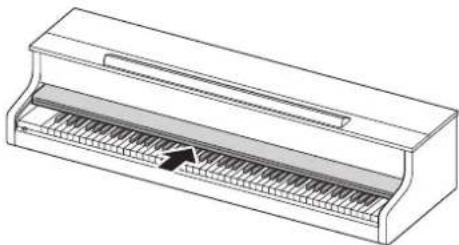 CASIO Celviano AP-710 - Tastaturabdeckung - 1