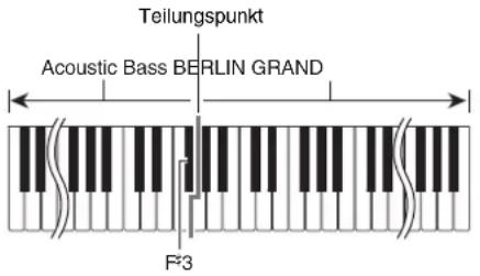 Teilungspunkt Acoustic Bass BERLIN GRAND F23
