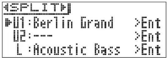 CASIO Celviano GP-510 - HINWEIS - 1
