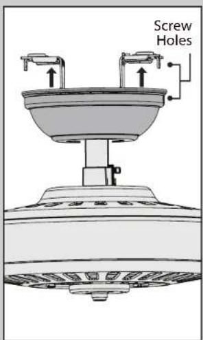 Screw Holes