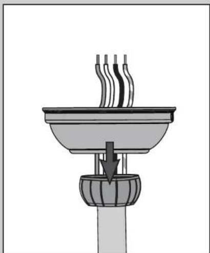 Casablanca Panama 59097 - Downrod (continued) - 1