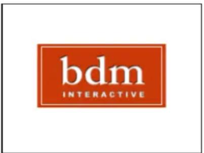 bdm INTERACTIVE
