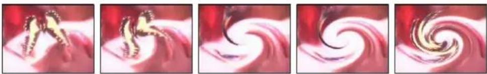 Five-panel illustration showing a seashell in red, with swirling patterns and no visible text or symbols.