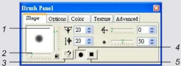 Brush Panel Shape Options Color Texture Advanced 1 20 0 20 50 3 4