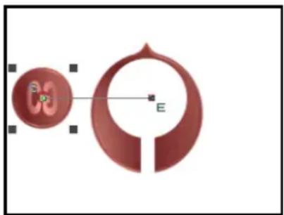 Diagram of a biological structure with labeled parts (no readable text or symbols)