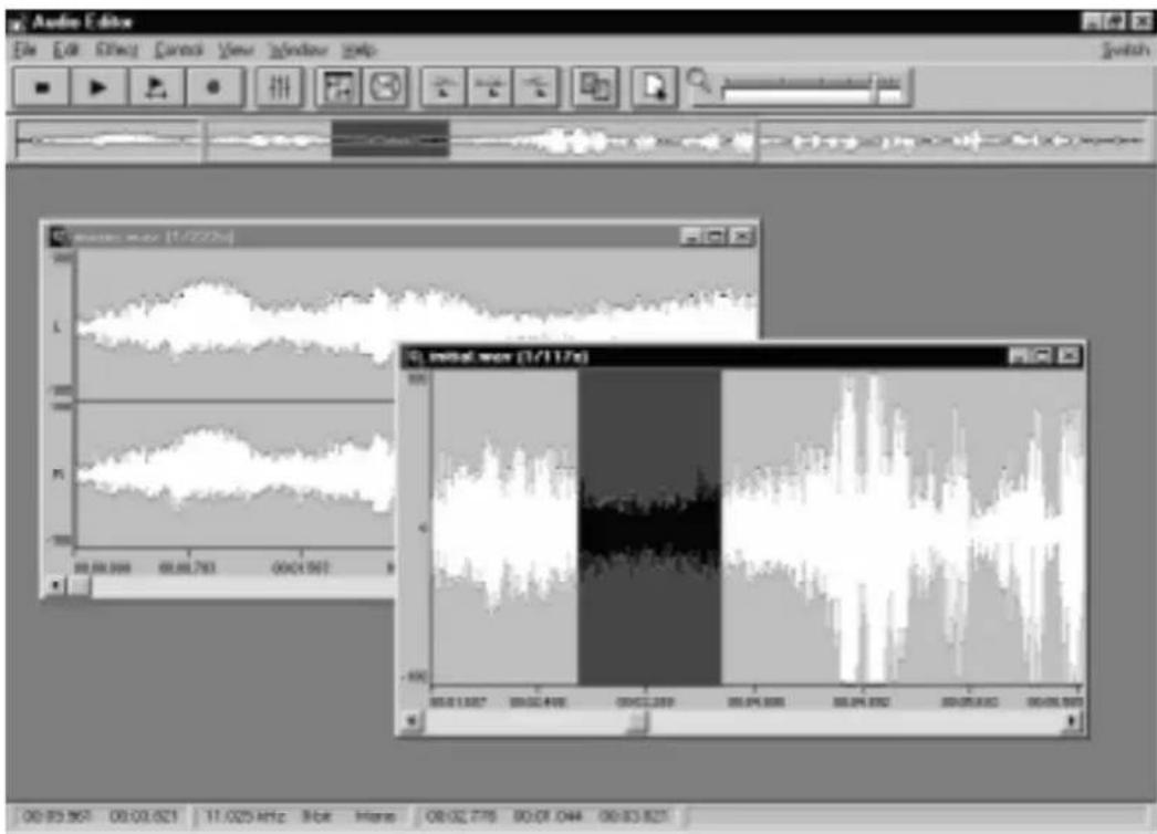 Audio Editor File Edit View Insert View Window Help Switch music echo (1/22/24) L M 00:00.000 00:00.783 00:01.567 instal echo (1/11/24) 00:01.567 00:02.498 00:03.289 00:04.000 00:04.892 00:05.643 00:06.565 00:03.967 00:03.621 11.025 MHz Black Hertz 08:02.775 80:01.044 00:03.821