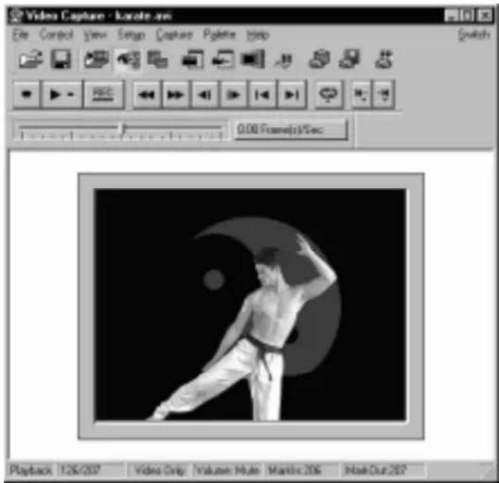 Video Capture - kwate.ai File Control View Setup Captue Palette Help Switch 0.00 Frame(s)/Sec. Playback 126/207 Video Only: Volutes Active Masterx 206 QuickOut 207