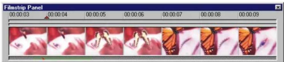 Filmstrip Panel 00:00:03 00:00:04 00:00:05 00:00:06 00:00:07 00:00:08 00:00:09