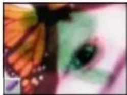 Close-up of a stylized human face with green eyes and orange fur (no text or symbols)