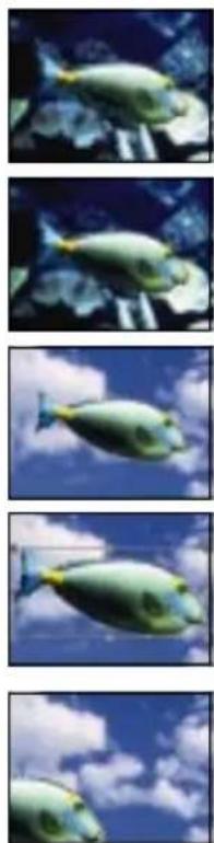 Four-panel sequence showing a fish swimming in blue water with clouds, no text or symbols present