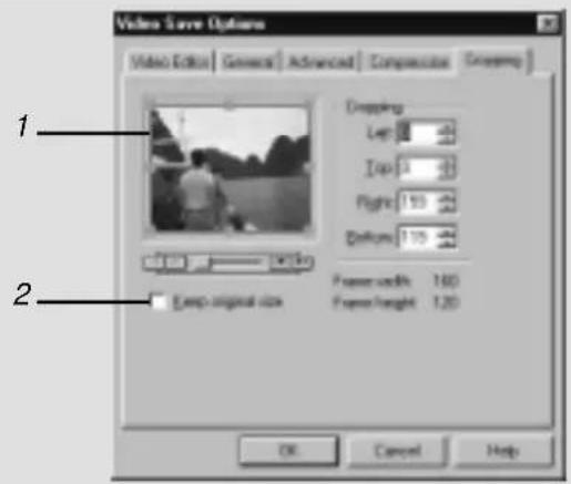 Video Save Options Video Edit | General | Advanced | Compression | Green | 1 Dropping Left: 0.00 Right: 0.00 Frame width: 160 Frame height: 120 Loop original size OK Cancel Help