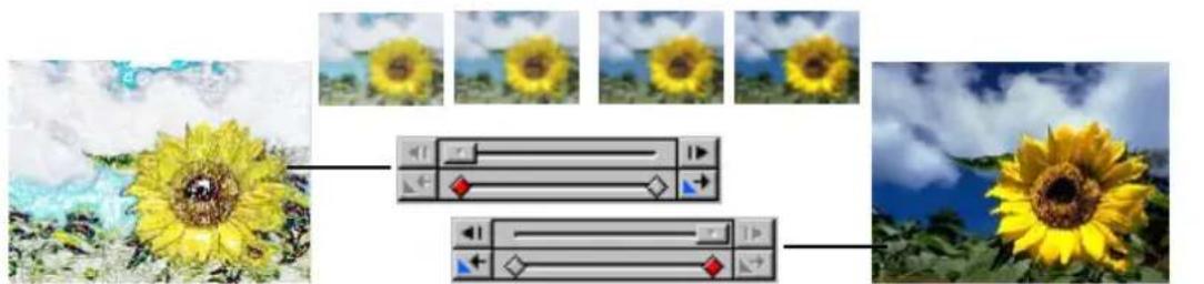 Composite image showing a sunflower on the left, a play button with red diamond, and a second play button with blue arrow on the right (no text or symbols)