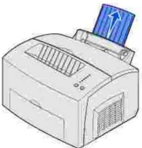 DELL P1500 - Fach 1 - 1
