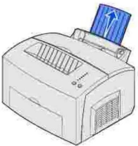 DELL P1500 - Fach 1 - 1