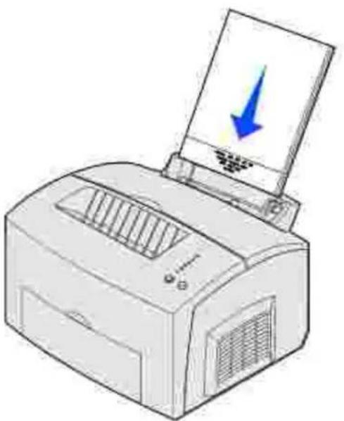DELL P1500 - Zuführungen für Druckmedien - 5