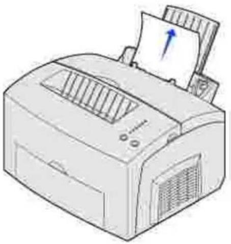 DELL P1500 - Beseitigen eines Papierstaus in Fach 1 - 1