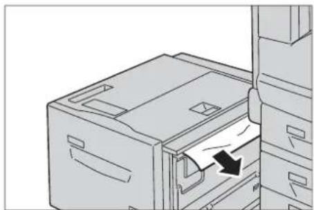 DELL C7765dn - Papierstau im Ausgabebereich von Behälter 6 - 2