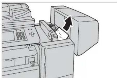 DELL C7765dn - Papierstau unter der oberen Finisherabdeckung - 3