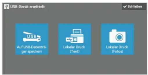 USB-Gerät ermittelt Auf USB-Datenträ- ger speichern Lokaler Druck (Text) Lokaler Druck (Fotos)